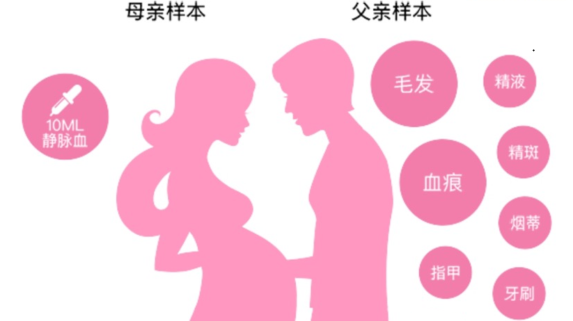 yangben.png